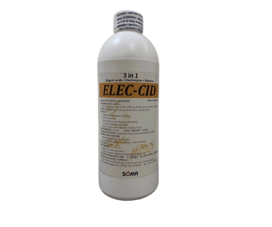 Elec-Cid